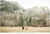 yosemite national park, northern california, sierra nevada mountains, engagement session, trees, fields, half dome, moon